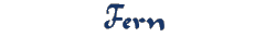 Fern